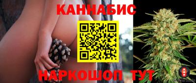 дмт Краснознаменск