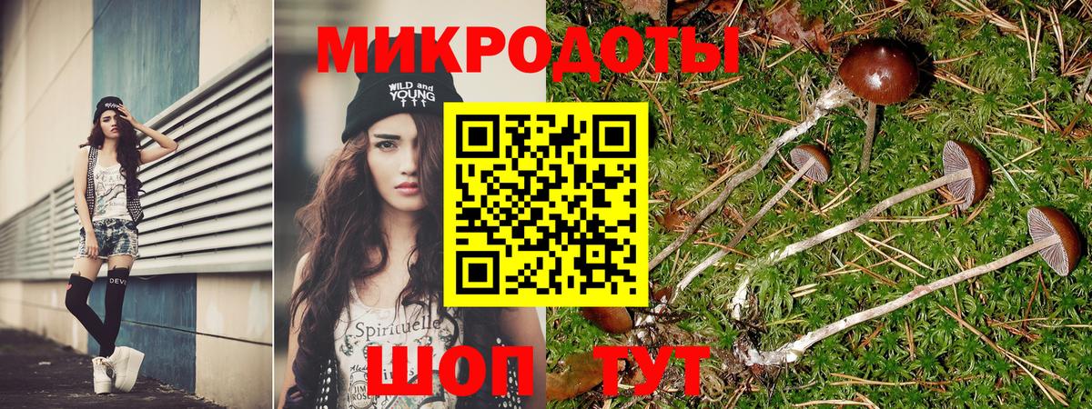 Галлюциногенные грибы ЛСД  Галлюциногенные грибы Cubensis  Каменск-Шахтинский  Вход с VPN 