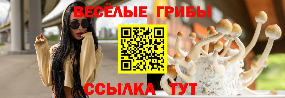 Псилоцибиновые грибы Cubensis Каменск-Шахтинский